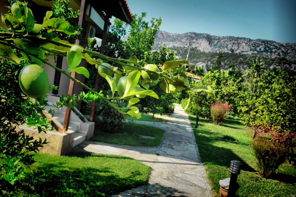 Nerissa Hotel Çıralı Extérieur photo