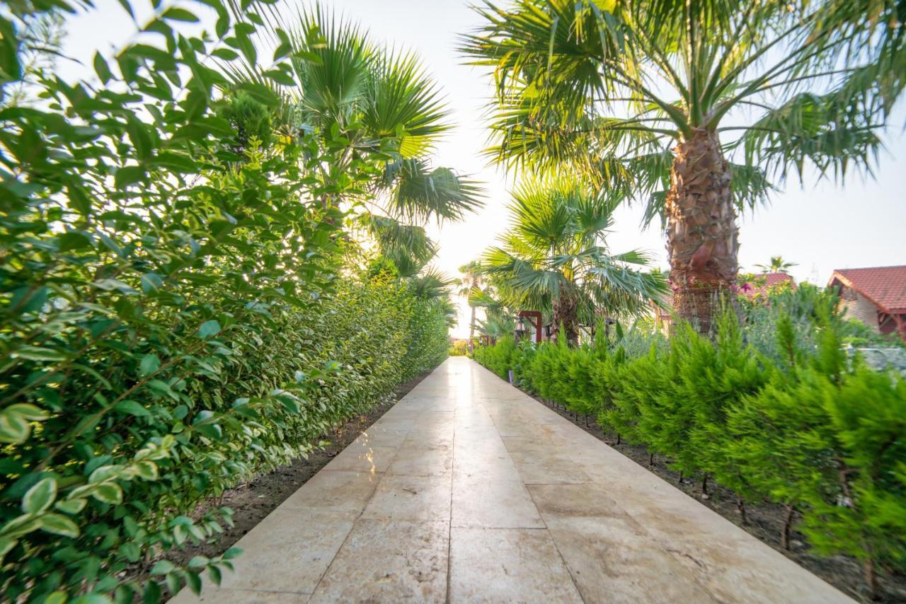Nerissa Hotel Çıralı Extérieur photo