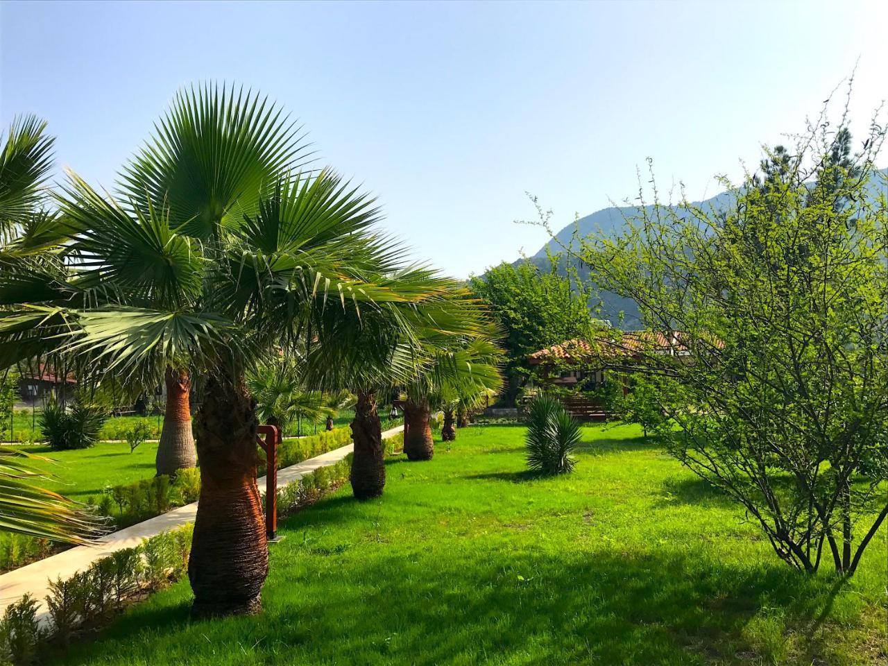 Nerissa Hotel Çıralı Extérieur photo
