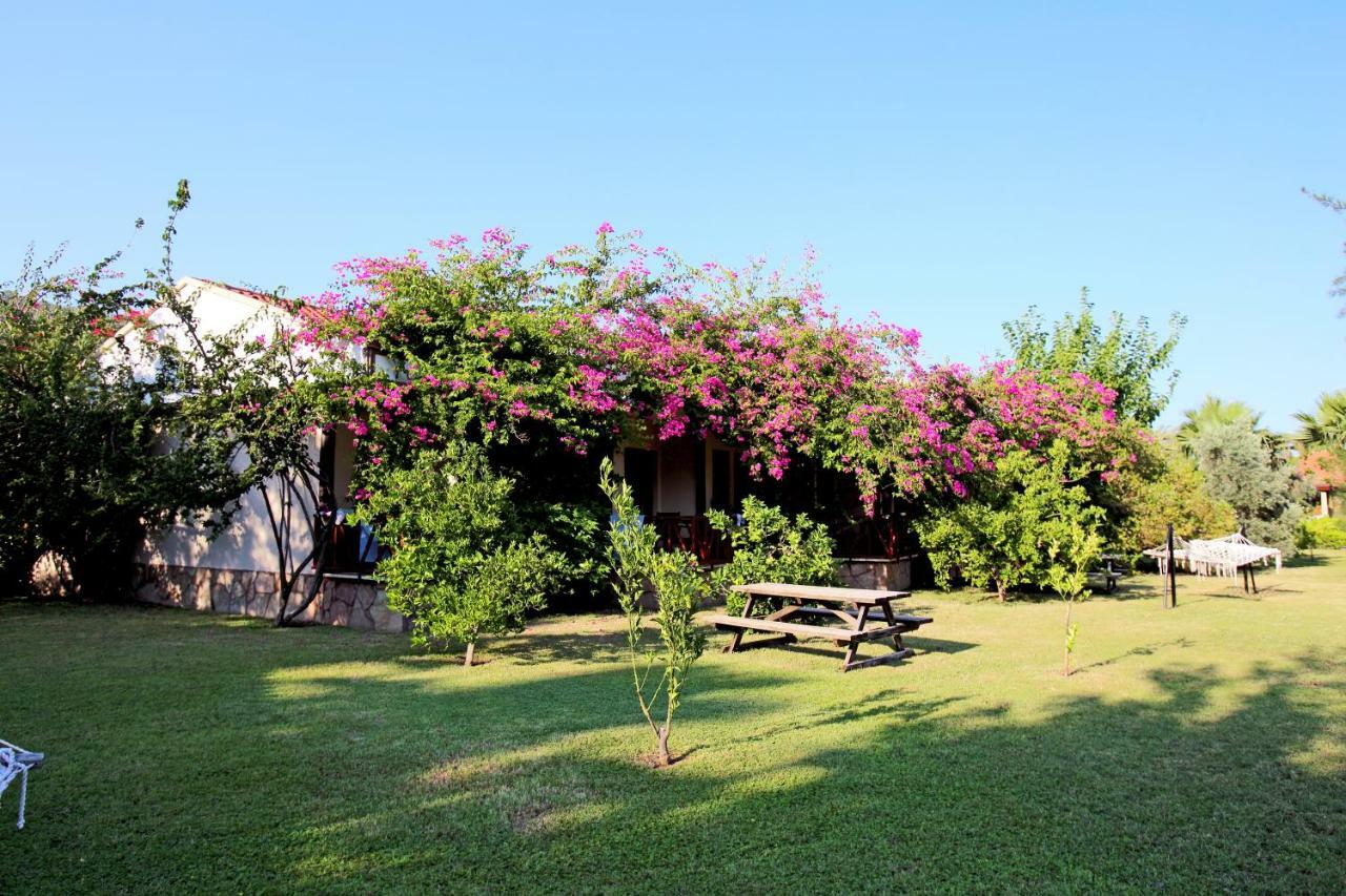 Nerissa Hotel Çıralı Extérieur photo