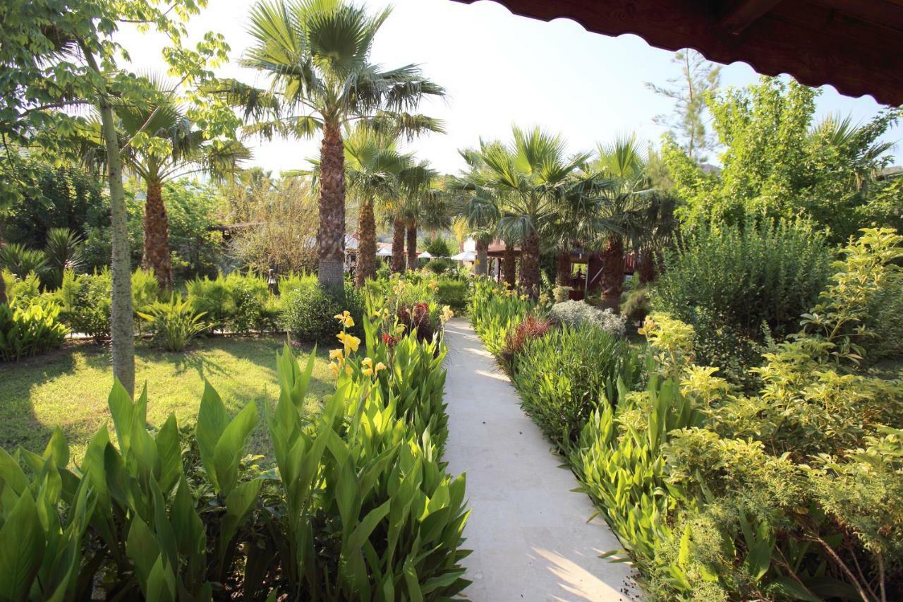 Nerissa Hotel Çıralı Extérieur photo